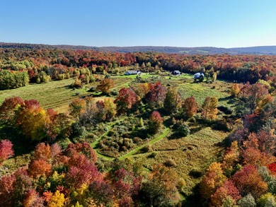 (private lake, pond, creek) Home For Sale in Livingston Manor New York