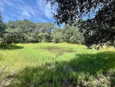 (private lake, pond, creek) Acreage For Sale in Sheridan Texas