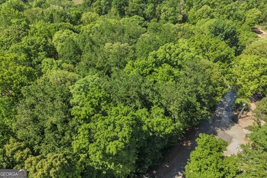 Two adjoining lake front lots available in Tugalo Bay. One - photo 10