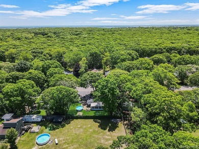 Welcome to this beautifully updated ranch offering the ease of - photo 36