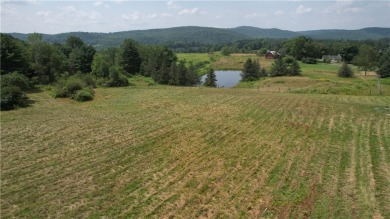 Fourth Lake Acreage For Sale in Otsego New York