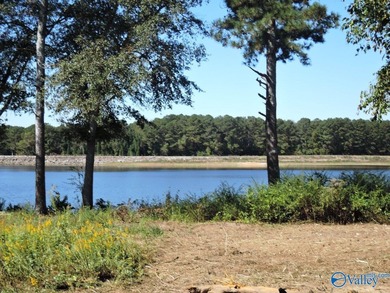 LAKE CATOMA - CULLMAN - EASTERN SHORES AT CATOMA SUBDIVISION - photo 3