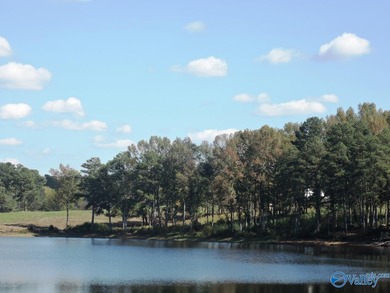 LAKE CATOMA - CULLMAN - EASTERN SHORES AT CATOMA SUBDIVISION - photo 4