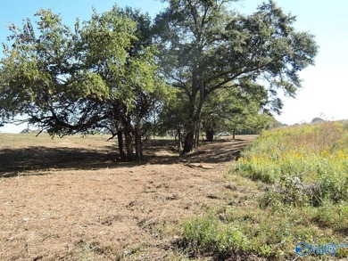 LAKE CATOMA - CULLMAN - EASTERN SHORES AT CATOMA SUBDIVISION - photo 7