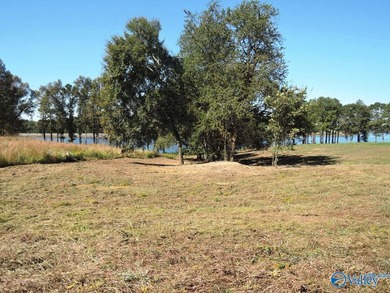 LAKE CATOMA - CULLMAN - EASTERN SHORES AT CATOMA SUBDIVISION - photo 8