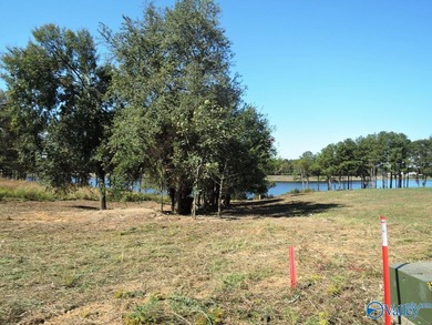LAKE CATOMA - CULLMAN - EASTERN SHORES AT CATOMA SUBDIVISION - photo 10