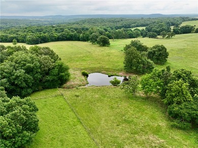 46+/- acre hobby farm in western Washington County featuring a - photo 5