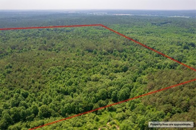  Acreage Sale Pending in Water Valley Mississippi