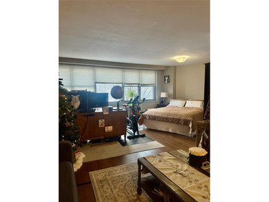Oversized L-shaped studio apartment in excellent condition - photo 12