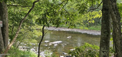 Lake Acreage For Sale in Lackawaxen, Pennsylvania