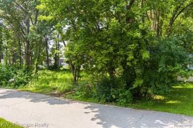 Lower Straits Lake Lot For Sale in Commerce Twp Michigan