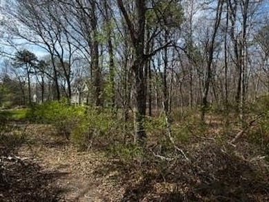 Calling All Investors, Builders, Home Buyers! Level .21 Acre - photo 2