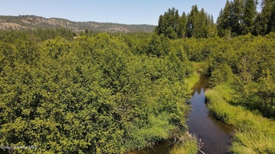 This expansive 120-acre ranch offers sweeping mountain and - photo 11