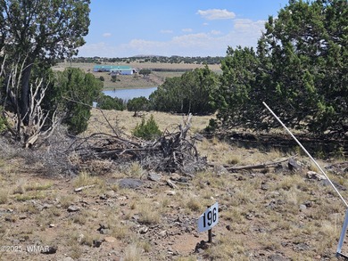 (private lake, pond, creek) Lot For Sale in Concho Arizona