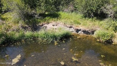 This expansive 120-acre ranch offers sweeping mountain and - photo 13