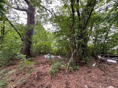 Seize this rare opportunity to secure a buildable, level lot - photo 15