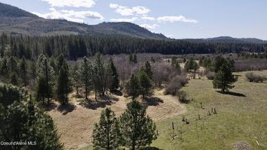 This expansive 120-acre ranch offers sweeping mountain and - photo 24