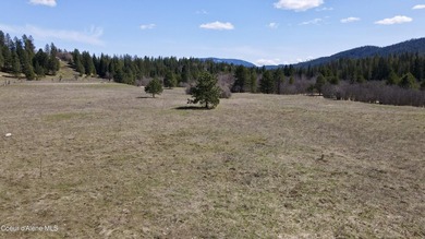This expansive 120-acre ranch offers sweeping mountain and - photo 27