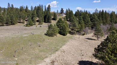 This expansive 120-acre ranch offers sweeping mountain and - photo 28