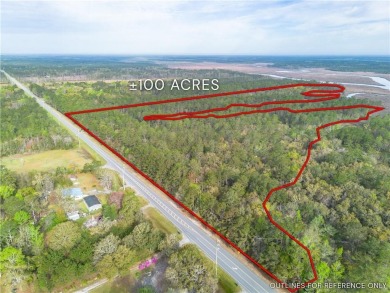 (private lake, pond, coastal) Acreage For Sale in Waverly Georgia
