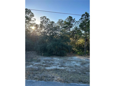Bonable Lake Lot For Sale in Dunnellon Florida
