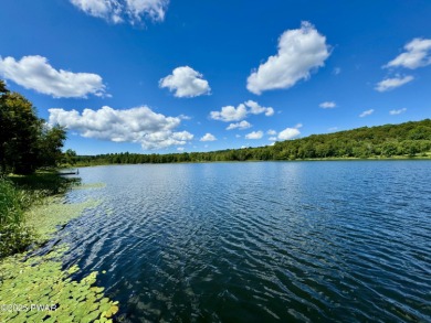 Lake Home For Sale in Pleasant Mount, Pennsylvania