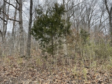 3 Lots at Rough River For Sale - Lake Lot For Sale in Hudson, Kentucky