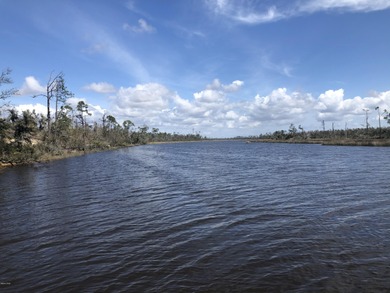 This incredible 86.81 acres vacant land sits on a high bluff - photo 22