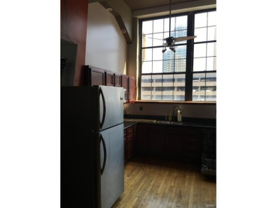 This is your chance to own and live in a Downtown St. Louis