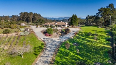 SINGLE LEVEL HOME. LOTS of usable Land to add ADU, Accessory - photo 3