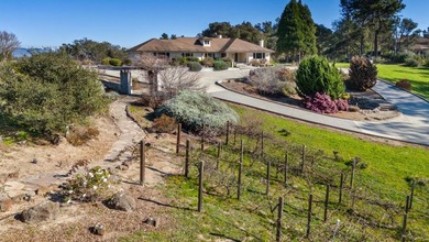SINGLE LEVEL HOME. LOTS of usable Land to add ADU, Accessory - photo 4