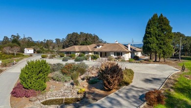 SINGLE LEVEL HOME. LOTS of usable Land to add ADU, Accessory - photo 5