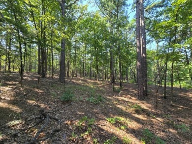 Kiamichi River Acreage For Sale in Muse Oklahoma