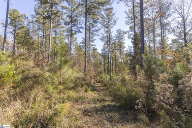 Contact Pat McNamara @ for more information or to tour this - photo 12