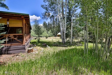 Classic 2BR/1BA mountain cabin on a peaceful 0.31-acre lot - photo 21