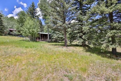 Classic 2BR/1BA mountain cabin on a peaceful 0.31-acre lot - photo 22