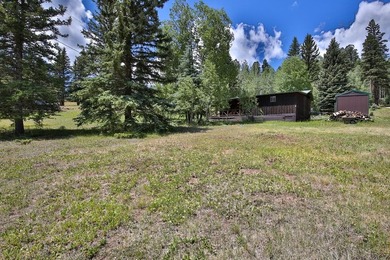 Classic 2BR/1BA mountain cabin on a peaceful 0.31-acre lot - photo 24