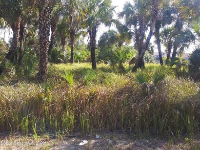 NICE BUILDABLE LOT!! EXCELLENT LOCATION CLOSE TO BAYSIDE SHOPS - photo 1