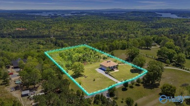 Stunning Custom-Built Home on Lookout Mountain with Breathtaking - photo 42