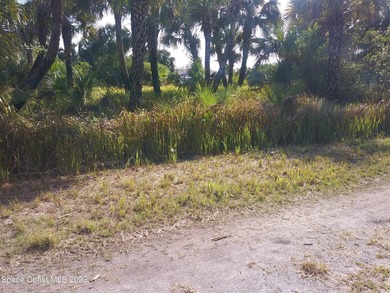 NICE BUILDABLE LOT!! EXCELLENT LOCATION CLOSE TO BAYSIDE SHOPS - photo 2