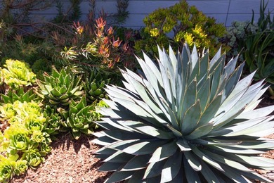 Tucked away on a quiet private cul-de-sac in the heart of Live - photo 3