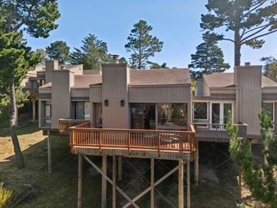 Wake up to views of the pine trees, the Santa Lucia mountains - photo 2