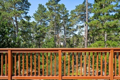 Wake up to views of the pine trees, the Santa Lucia mountains - photo 8