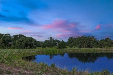 (private lake, pond, creek) Acreage For Sale in Carmine Texas