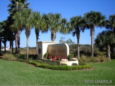 This property location is where the center of the city will be - photo 3