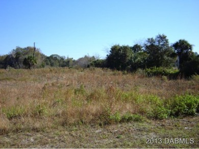 This property location is where the center of the city will be - photo 4