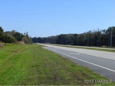 This property location is where the center of the city will be - photo 7