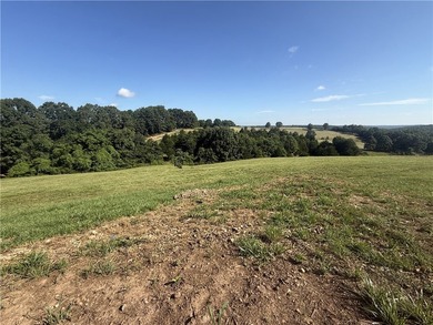 Experience the beauty of the Ozarks in this thoughtfully - photo 2