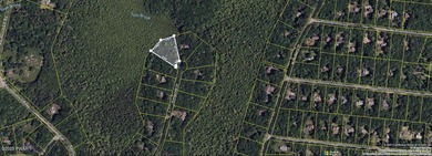 Beautiful wooded lot located just minutes from the Charming town - photo 1