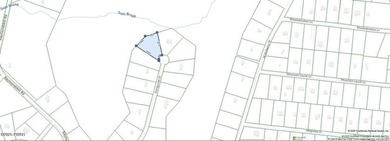 Beautiful wooded lot located just minutes from the Charming town - photo 2